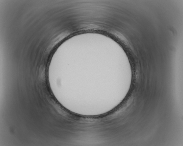 X0000113250873200910221119