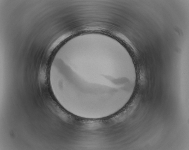 X0000113250874200910221119