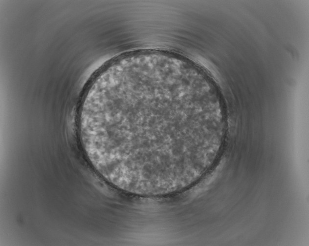 X0000113250875200910221119