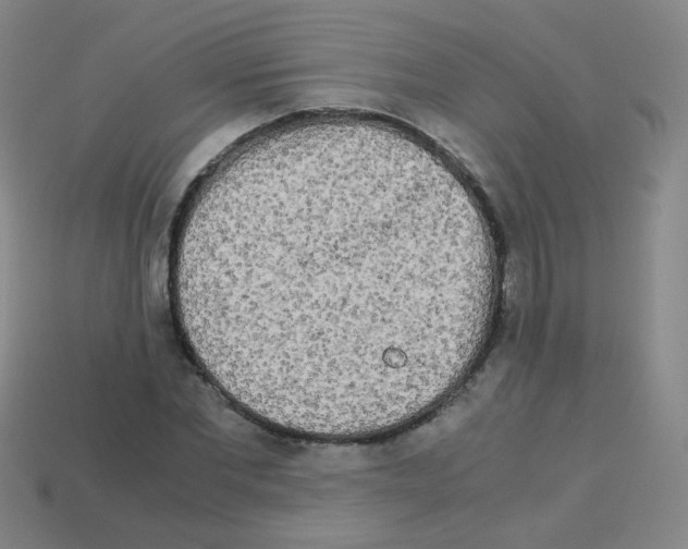 X0000113250877200910221119