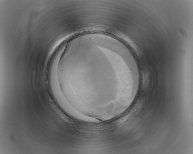 X0000113250878200910221119