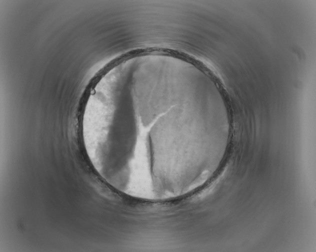 X0000113250879200910221119