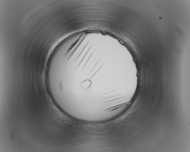 X0000113250880200910221119