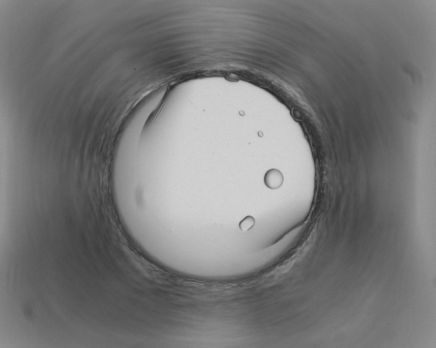 X0000113250881200910221119