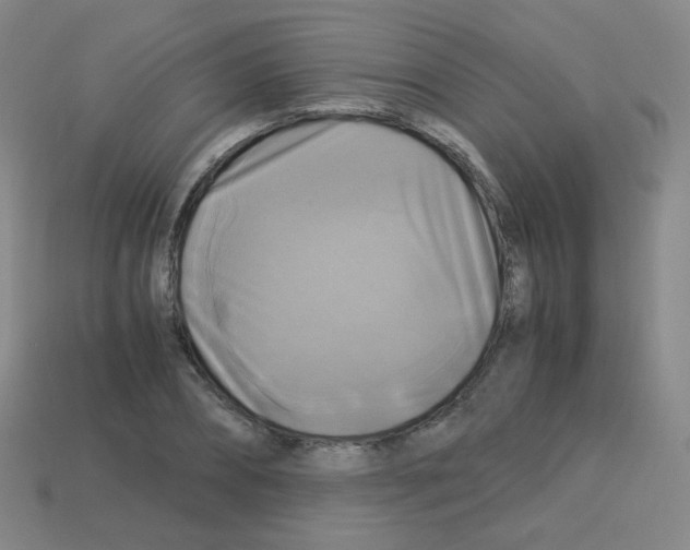 X0000113250882200910221119