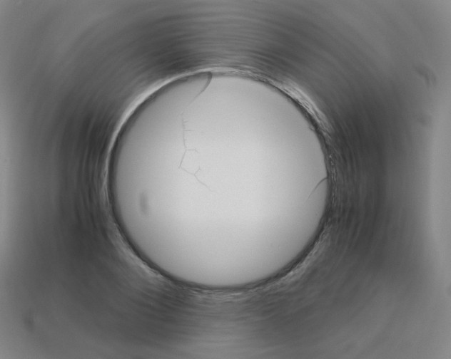 X0000113250884200910221119