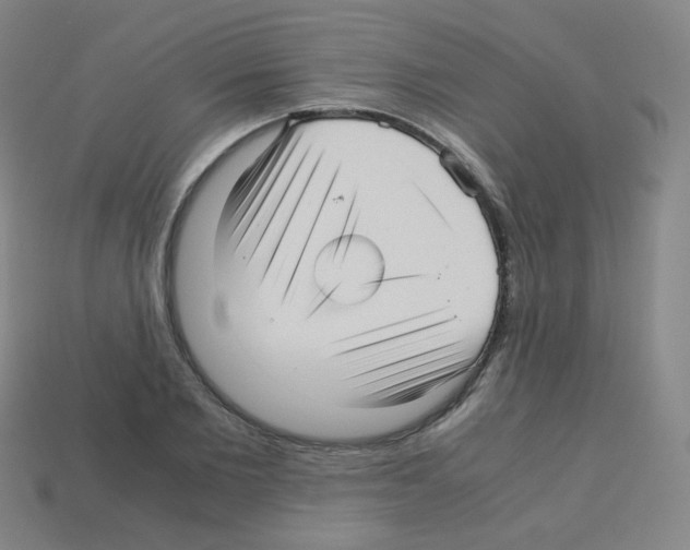 X0000113250885200910221119