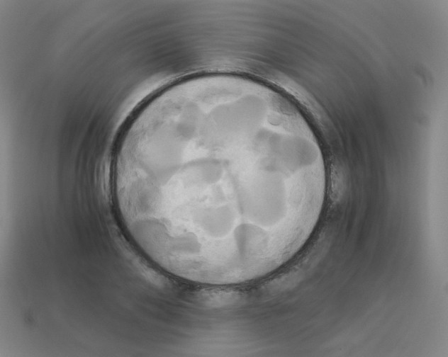 X0000113250886200910221119