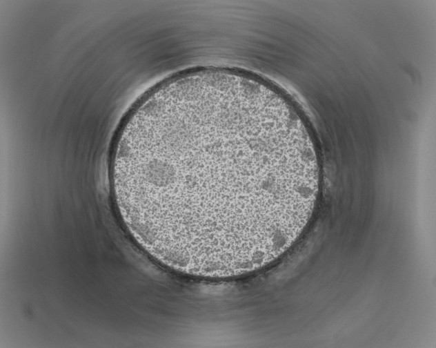 X0000113250887200910221119