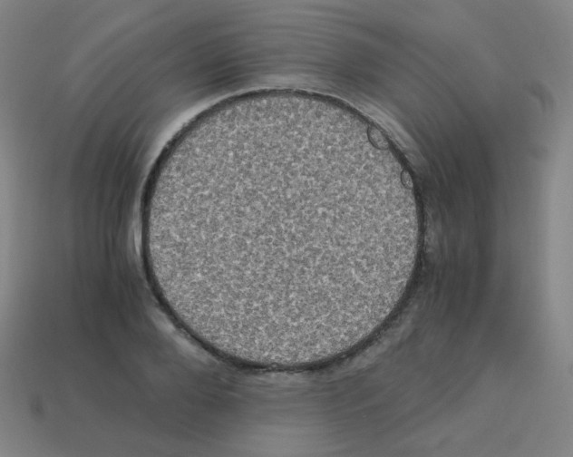 X0000113250888200910221119