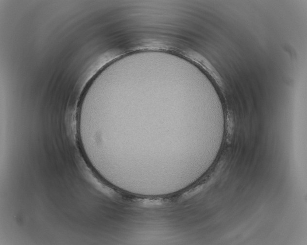 X0000113250890200910221119