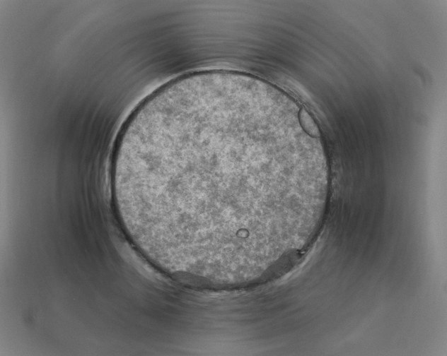 X0000113250892200910221119