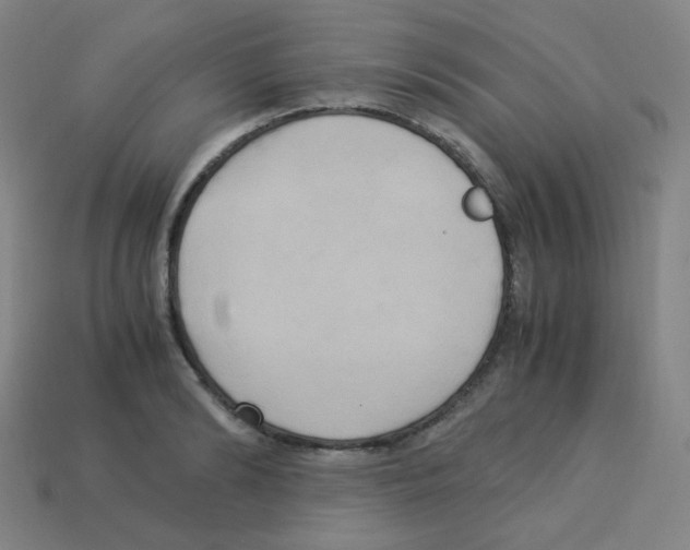 X0000113250894200910221119