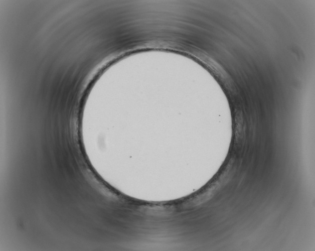 X0000113250896200910221119