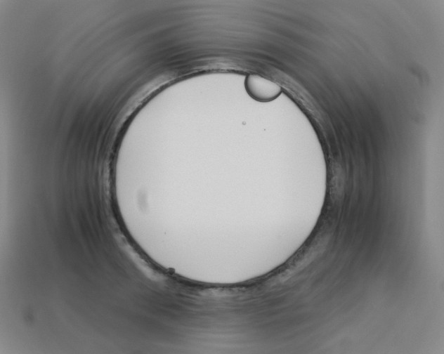 X0000113250898200910221119