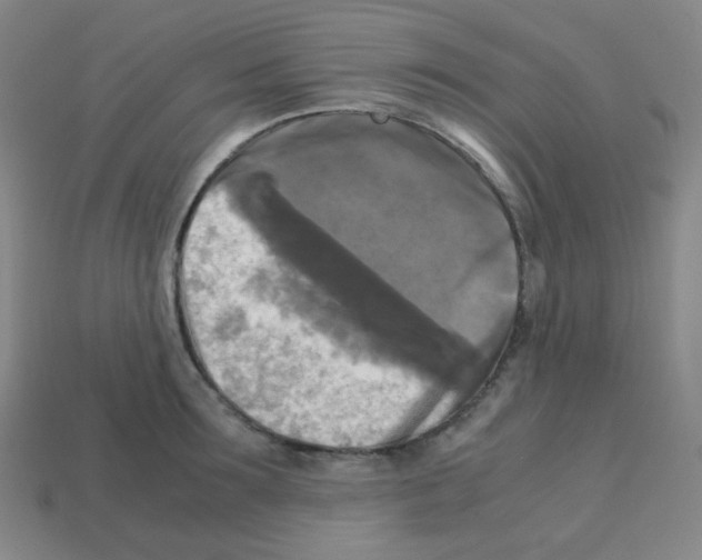 X0000113250899200910221119