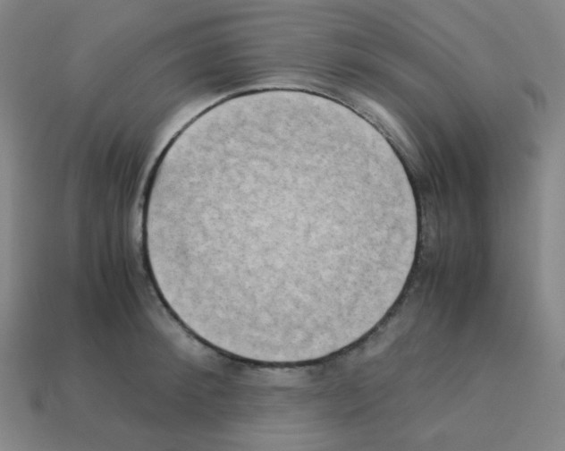 X0000113250900200910221119