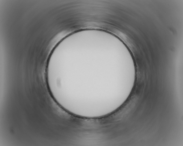 X0000113250901200910221119