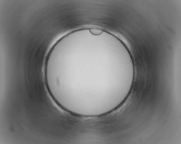 X0000113250902200910221119