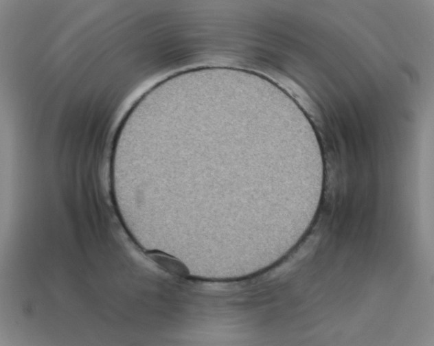 X0000113250904200910221119