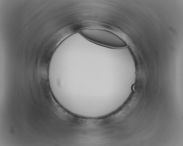 X0000113250905200910221119