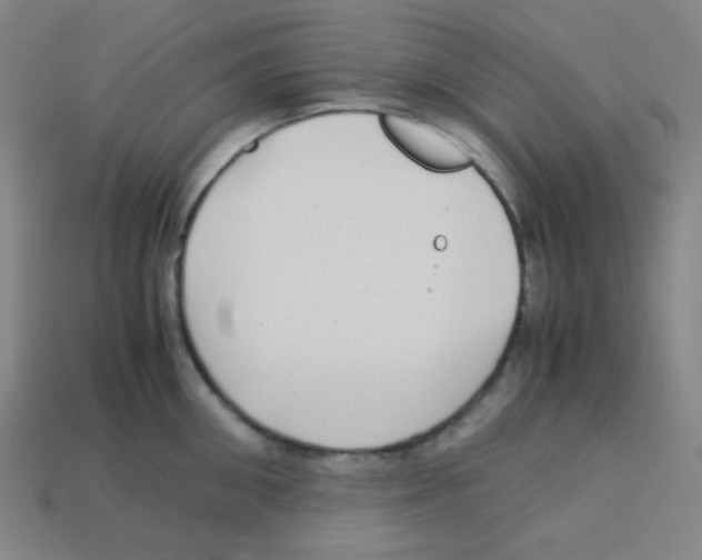 X0000113250906200910221118