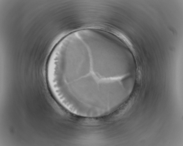 X0000113250907200910221118