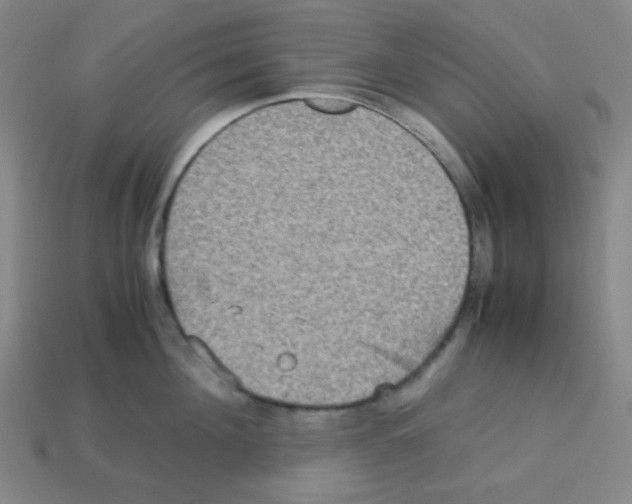 X0000113250908200910221118