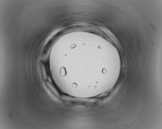 X0000113250909200910221118