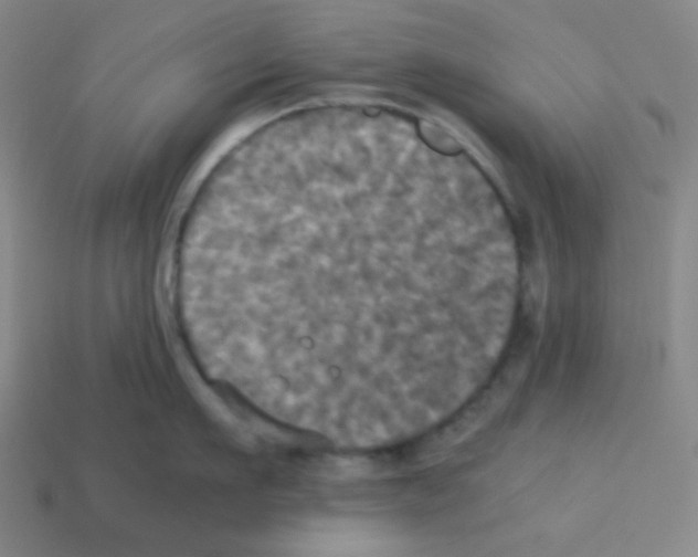 X0000113250911200910221118