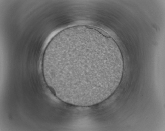 X0000113250912200910221118