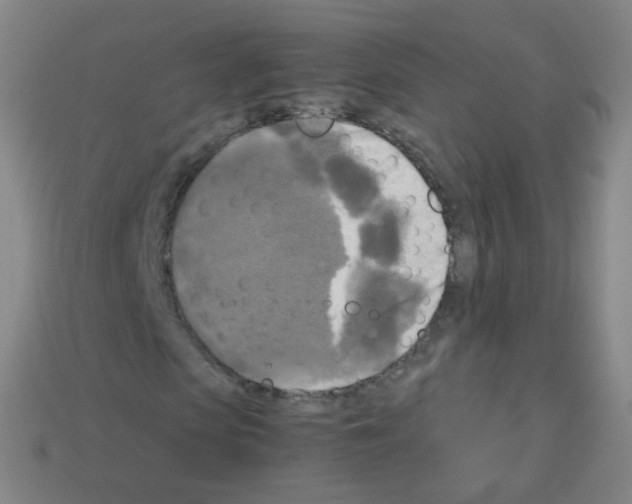 X0000113250913200910221118