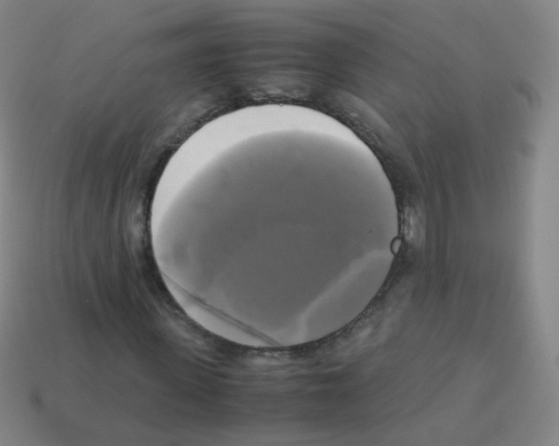 X0000113250915200910221118