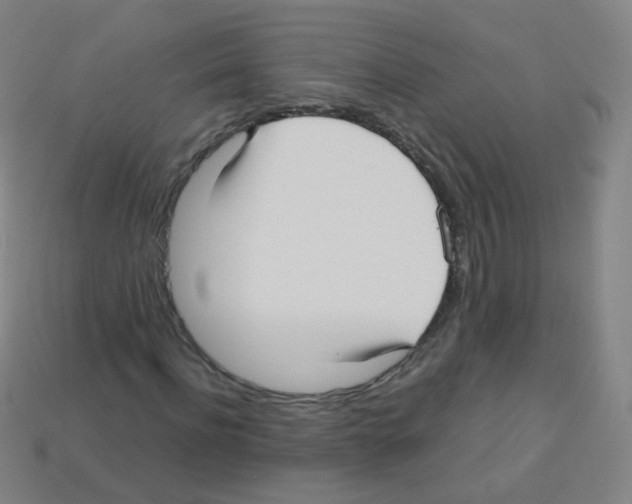 X0000113250916200910221118