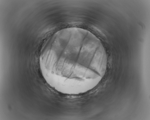 X0000113250917200910221118