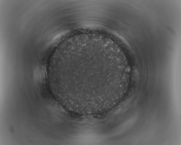 X0000113250918200910221118