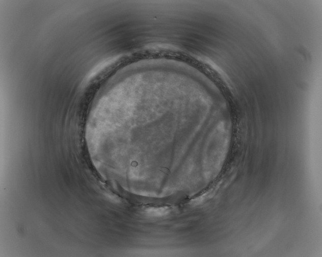 X0000113250919200910221118