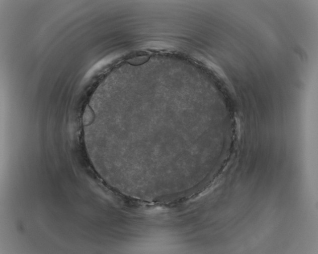 X0000113250920200910221118