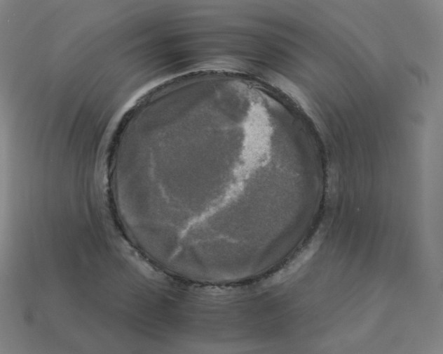 X0000113250923200910221118