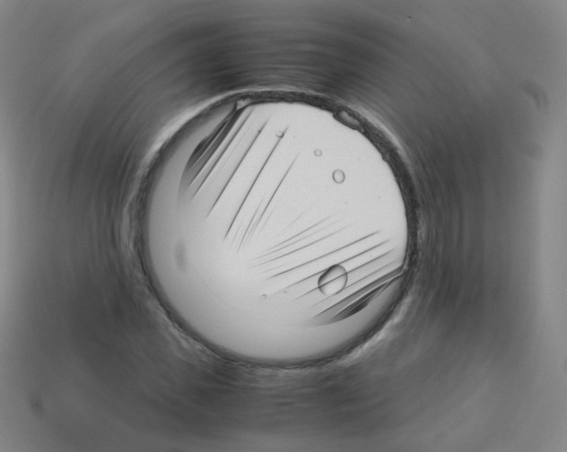 X0000113250925200910221118