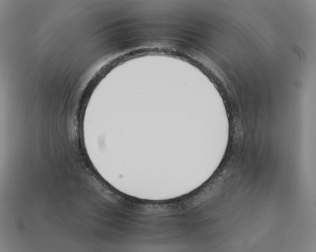 X0000113250927200910221118