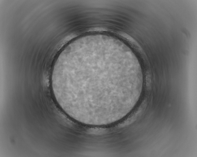 X0000113250929200910221118