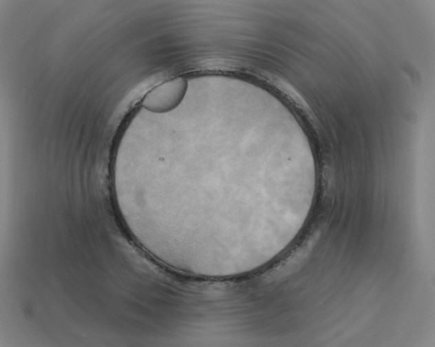 X0000113250930200910221118