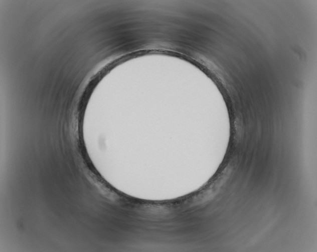 X0000113250931200910221118