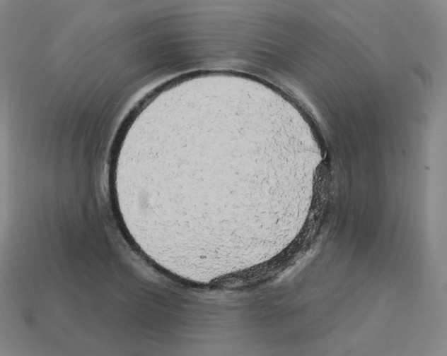 X0000113250932200910221118