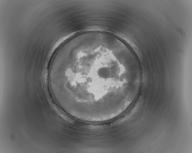 X0000113250933200910221118