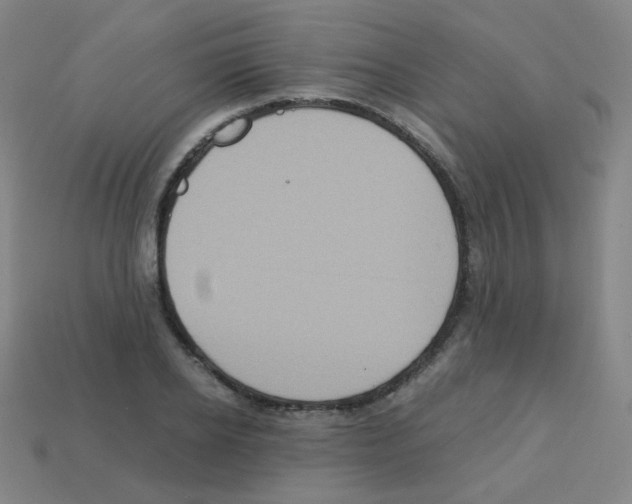 X0000113250934200910221118