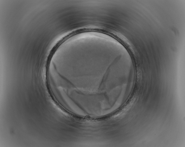 X0000113250935200910221118