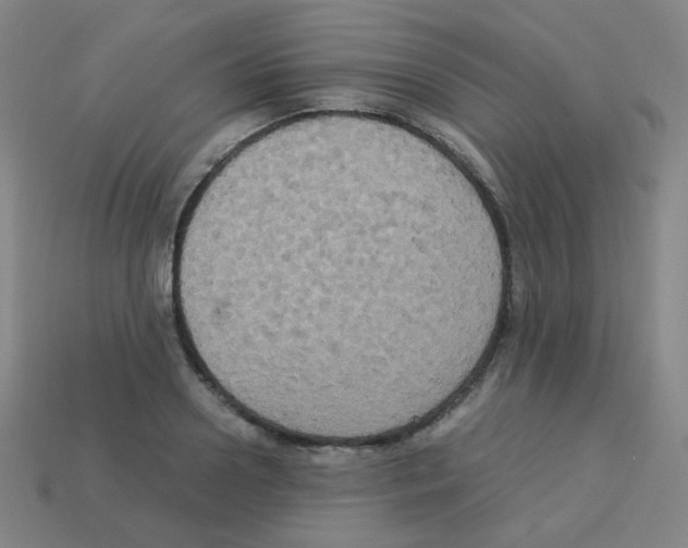 X0000113250938200910221118