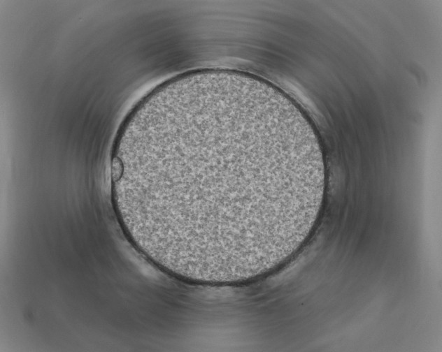 X0000113250940200910221118